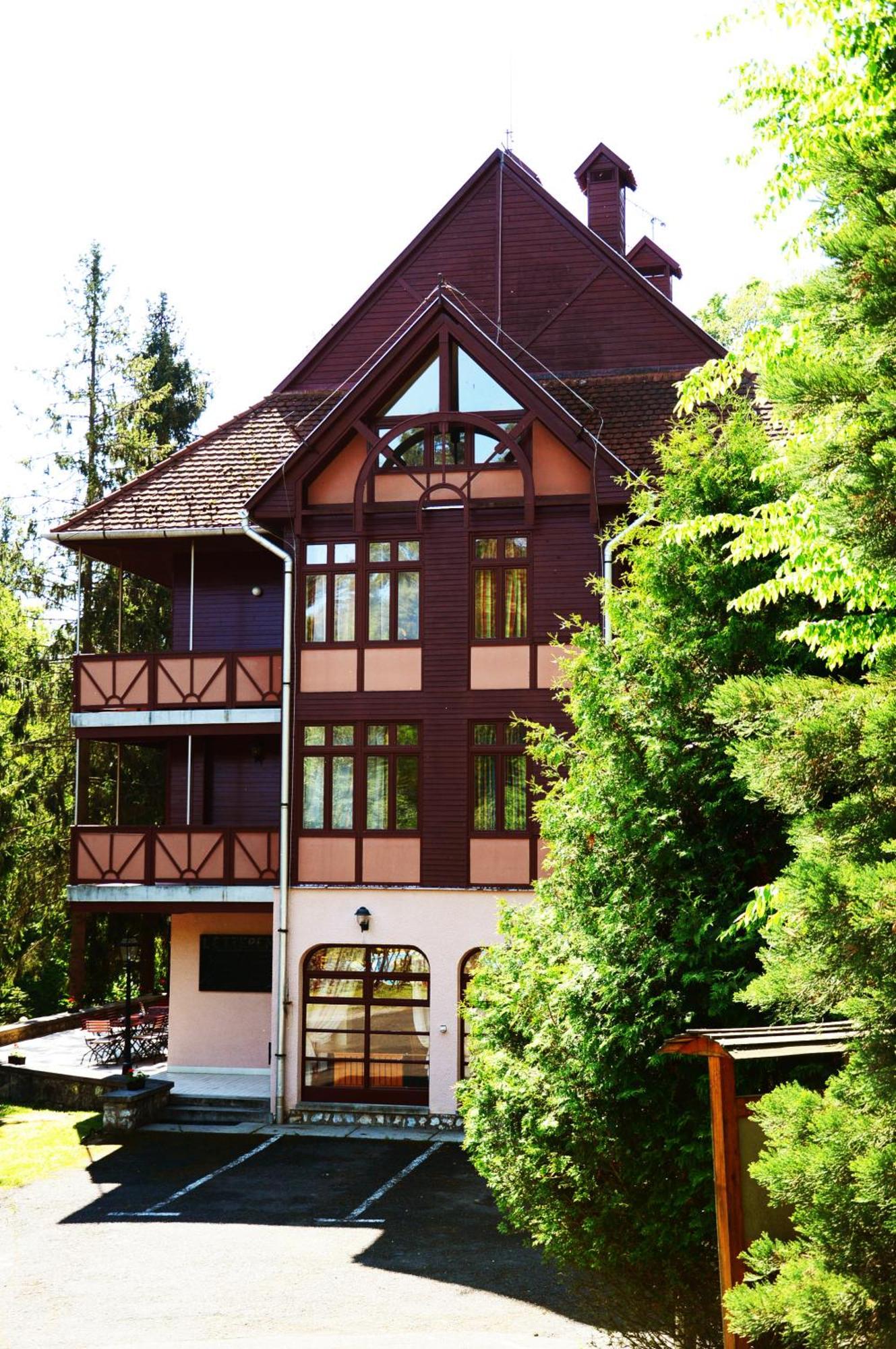 Ezuestfenyo Hotel Telkibanya Exterior photo